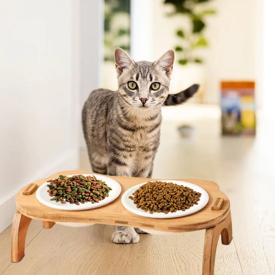 Gamelle chat