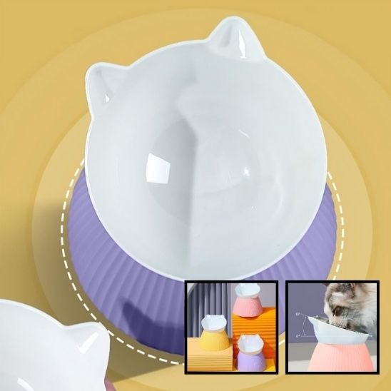 Gamelle chat profonde