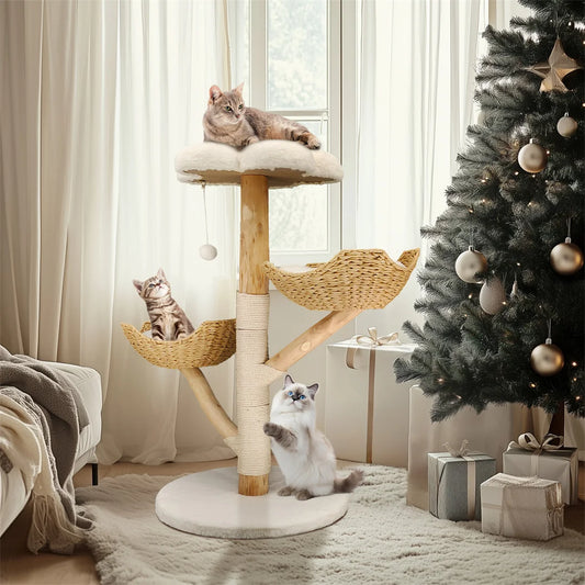 Arbre A chat bois | Elegance Naturelle
