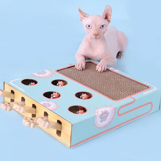griffoir chat carton | Tap'Taup'