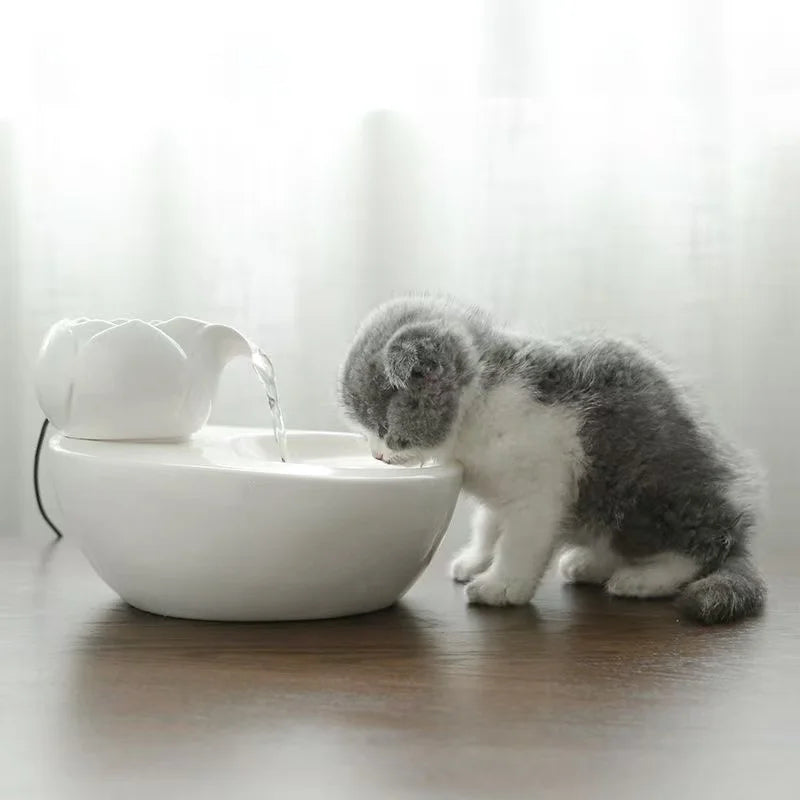 Fontaine chat céramique | Eau Fraîche USB