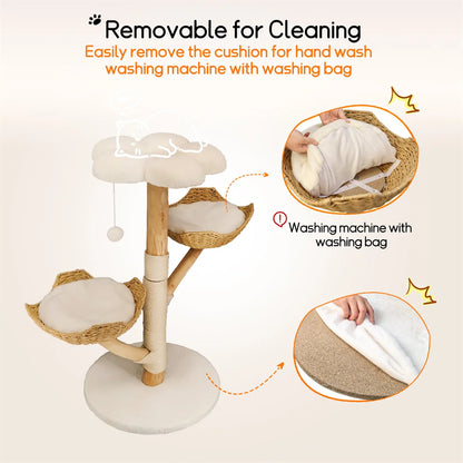 Arbre A chat bois | Elegance Naturelle