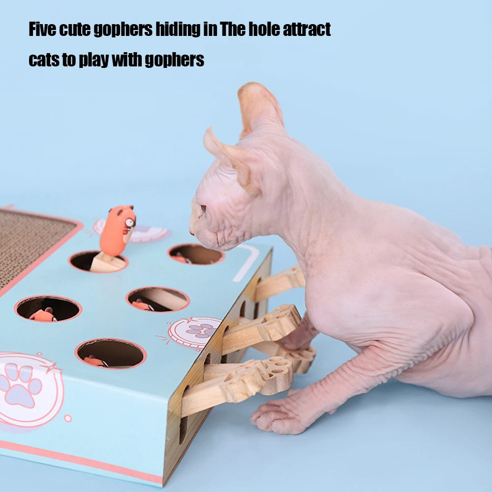 griffoir chat carton | Tap'Taup'