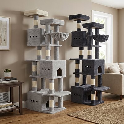 Arbre à Chat 