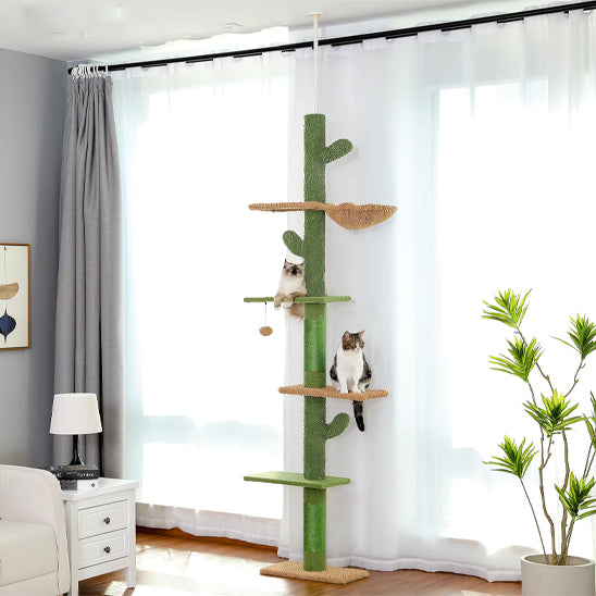 Arbre A chat design | Cactus