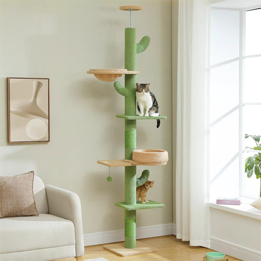 Arbre A chat design | Cactus