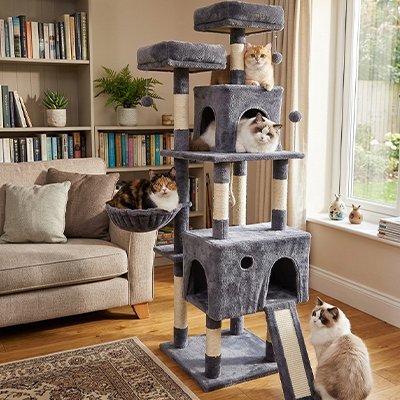 Arbre a Chats 