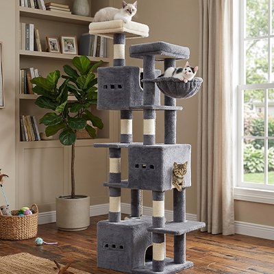 arbre-chat_plateau blanc