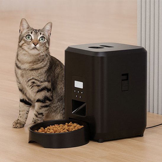 Distributeur de croquettes pour chat​ manuel