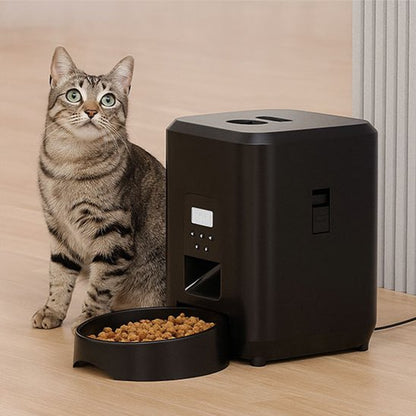Distributeur de croquettes pour chat​ manuel