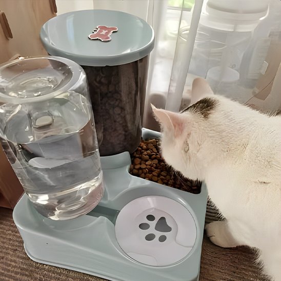 distributeur de croquettes pour chat
