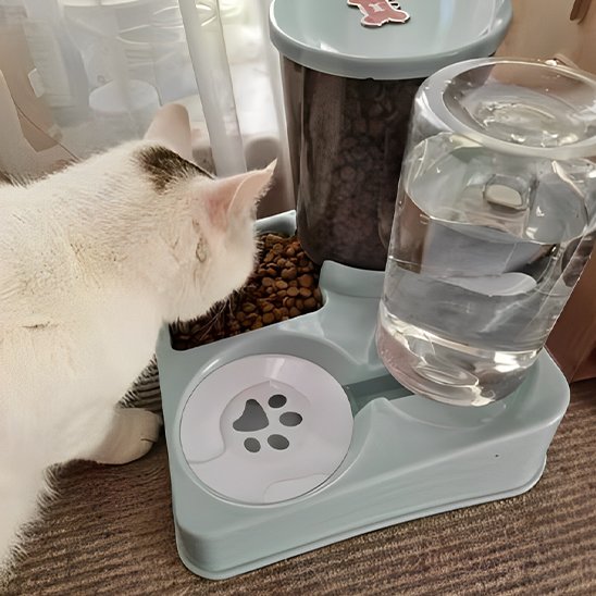 distributeur de croquettes pour chat