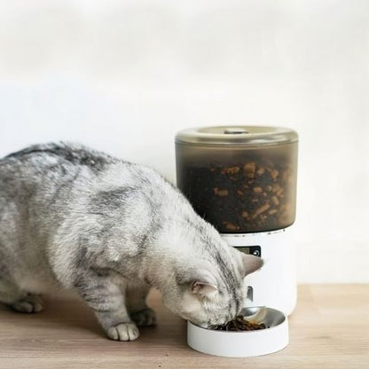 Distributeur automatique croquettes chat | Ronde