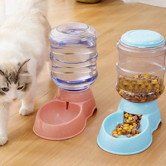 distributeur de croquettes pour chat vient boire et manger