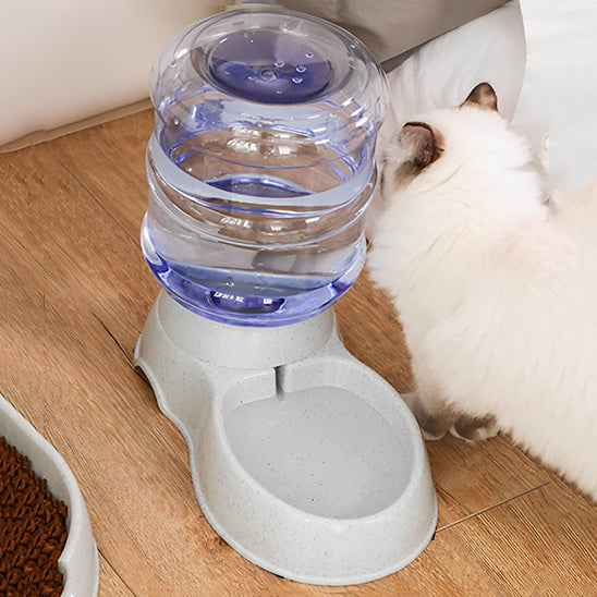 distributeur de  roquettes pour chat et eau grise