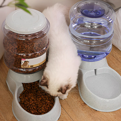 distributeur de coquettes pour chat grises avec un chat qui va manger