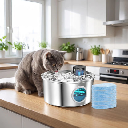 filtre pour fontaine chat bleu