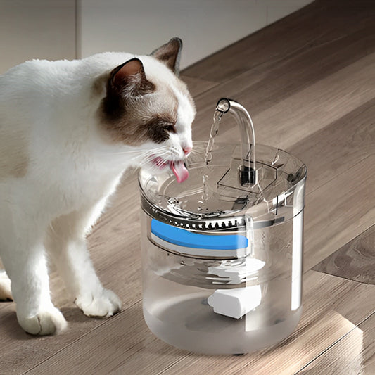 fontaine-a-chat-clair