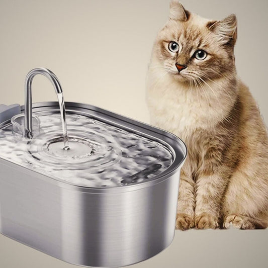 fontaine-a-eau-chat-en-acier-inoxydable