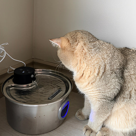 fontaine-à-eau-chat-sans-électricité-avec-capteur