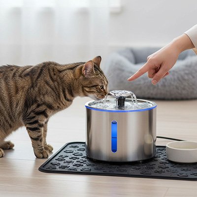 Fontaine chat inox - chat avec son maitre