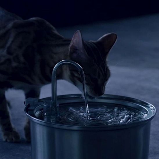 fontaine-eau-chat-robinet