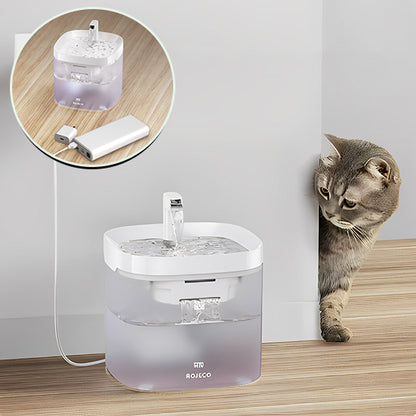 fontaine-pour-chat-bac-transparent