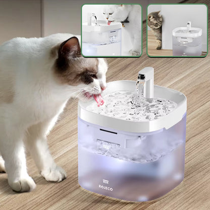 fontaine-pour-chat-filtre
