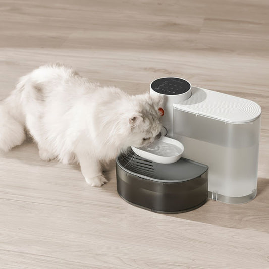fontaine_a_eau_chat_basculante_chat agora