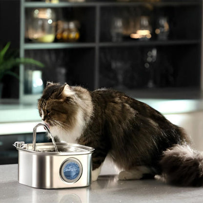 Fontaine à eau chat | Carree