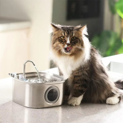 Fontaine à eau chat | Carree