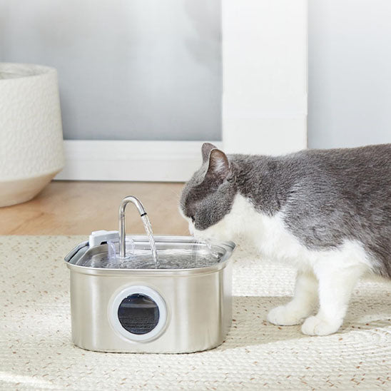 Fontaine à eau chat | Carree
