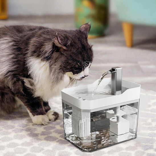 fontaine a eau pour chat blanche
