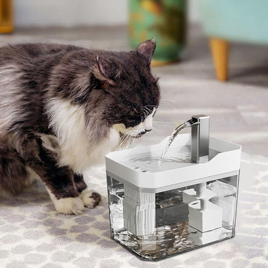 fontaine a eau pour chat blanche