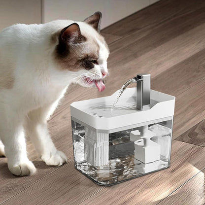 fontaine a eau pour chat boit