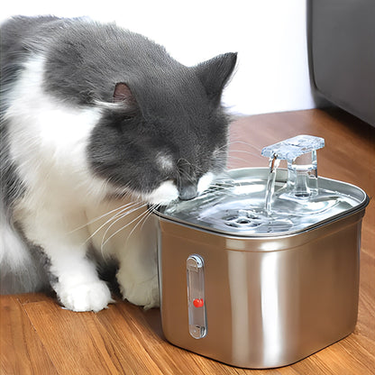 fontaine_a_eau_pour_chat_inox_boit dans bac