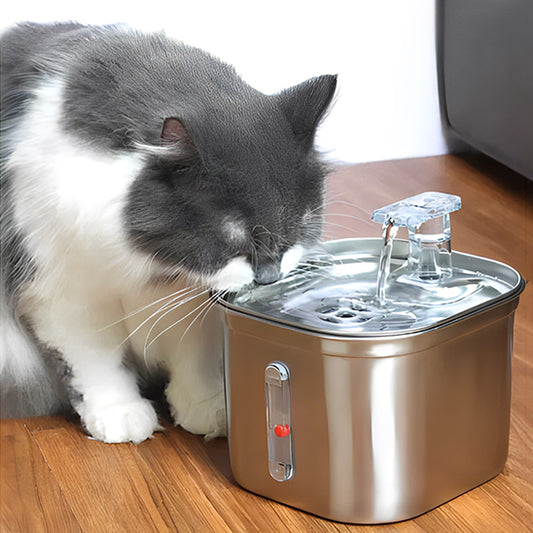 fontaine_a_eau_pour_chat_inox_boit dans bac