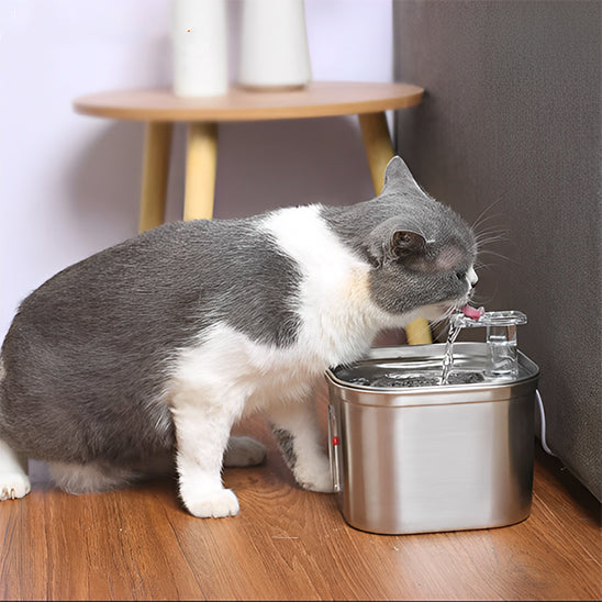 fontaine_a_eau_pour_chat_inox_boit dans robinet