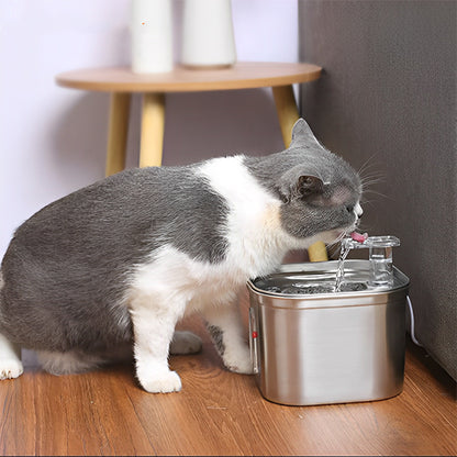 fontaine_a_eau_pour_chat_inox_boit dans robinet