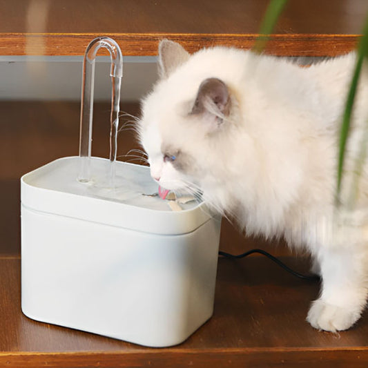 Fontaine A eau pour chat | Zen'eau