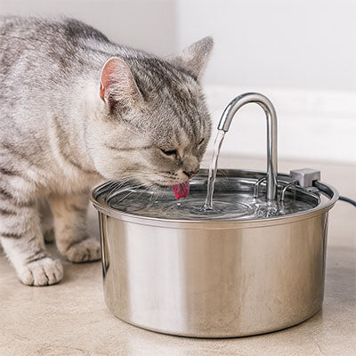 fontaine_chat_inox_moderne