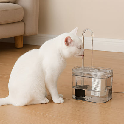 fontaine chat transparente chat blanc