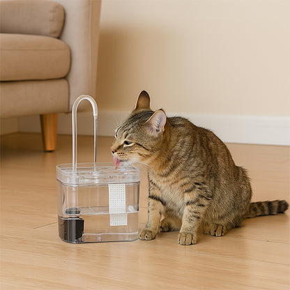 fontaine chat transparente modèle