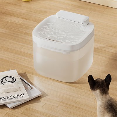 fontaine eau chat blanche chat siamois