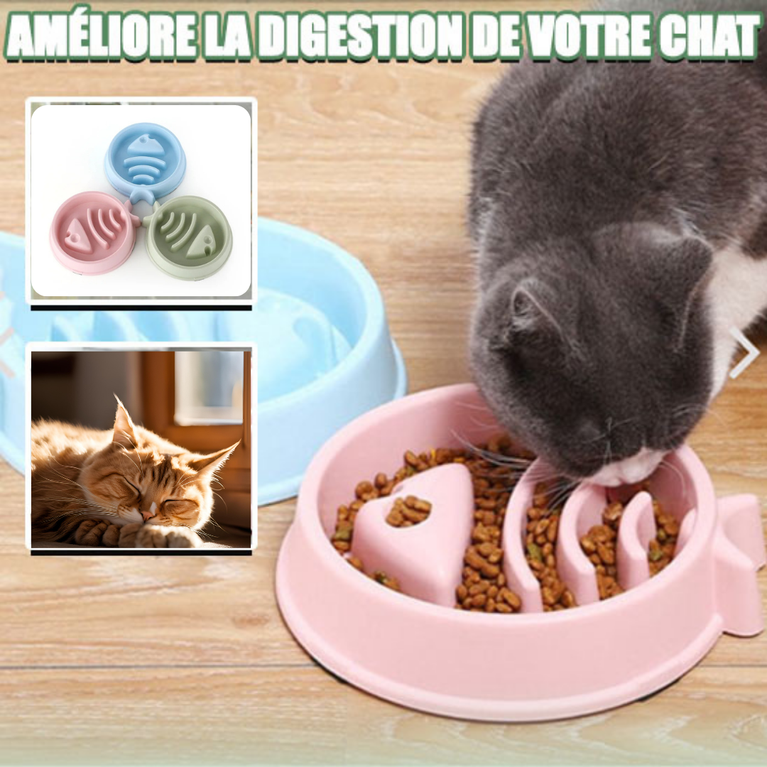 gamelle-anti-glouton-chat-dormeur-trois-couleurs