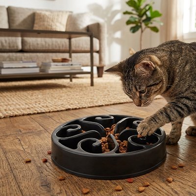 Gamelle anti glouton chat noire