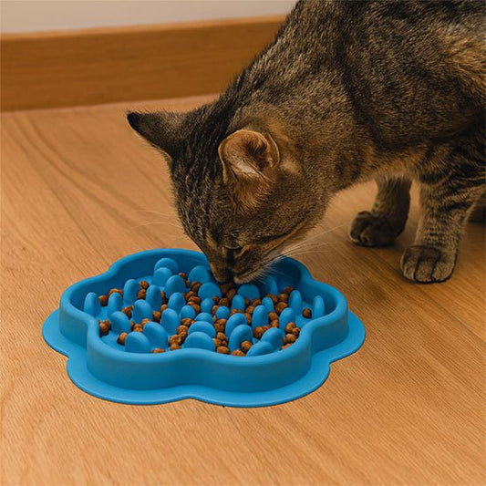 gamelle anti glouton Chat - Vert