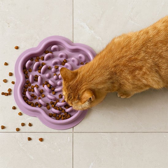 gamelle anti glouton Chat - violet