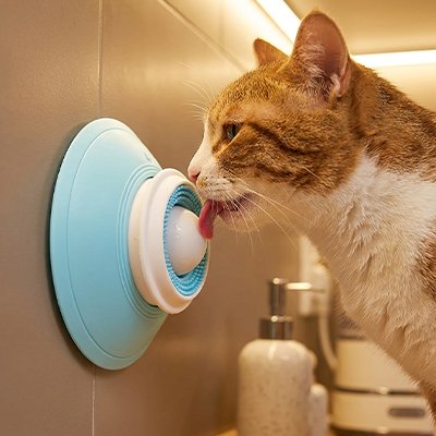 Gamelle anti glouton Chat 