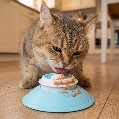 Gamelle anti glouton Chat 